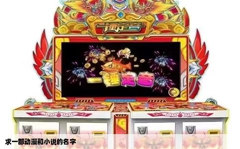 求一部动漫和小说的名字