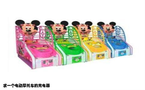 求一个电动摩托车的充电器