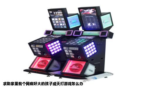 求助家里有个网瘾好大的孩子成天打游戏怎么办