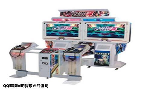 QQ宠物里的找东西的游戏