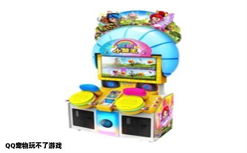 QQ宠物玩不了游戏