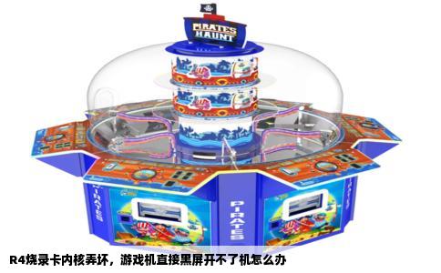 R4烧录卡内核弄坏，游戏机直接黑屏开不了机怎么办