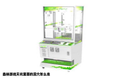 森林游戏天坑里面的洞穴怎么走