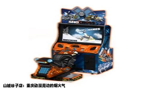 山城谷子店：重庆动漫周边的烟火气