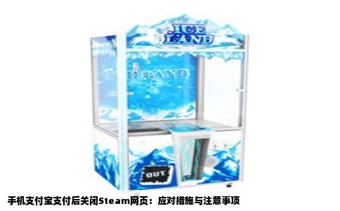 手机支付宝支付后关闭Steam网页：应对措施与注意事项