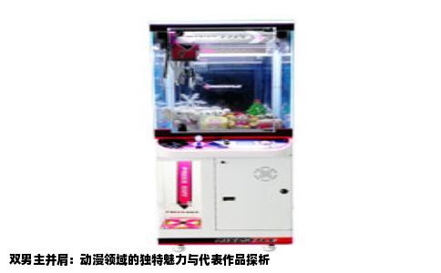 双男主并肩：动漫领域的独特魅力与代表作品探析