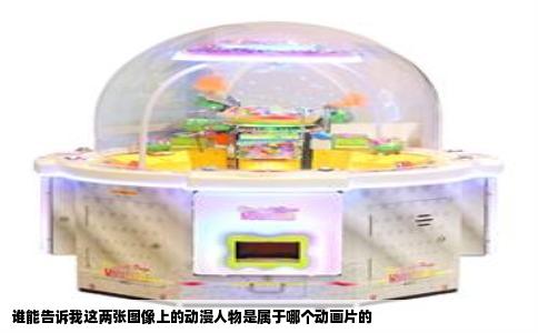 谁能告诉我这两张图像上的动漫人物是属于哪个动画片的