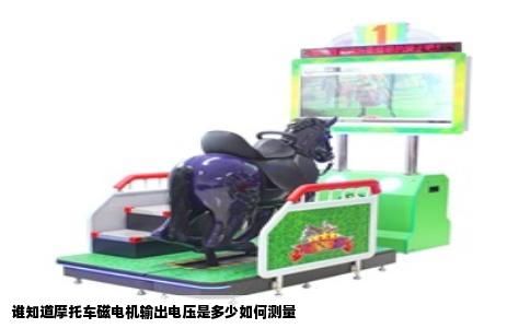 谁知道摩托车磁电机输出电压是多少如何测量