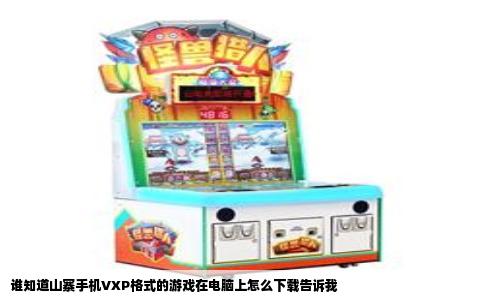 谁知道山寨手机VXP格式的游戏在电脑上怎么下载告诉我