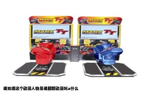 谁知道这个动漫人物是谁那部动漫叫a什么