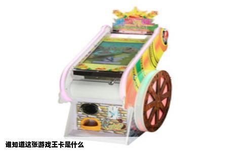 谁知道这张游戏王卡是什么