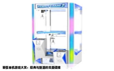 暑假单机游戏大赏：经典与新潮的完美碰撞