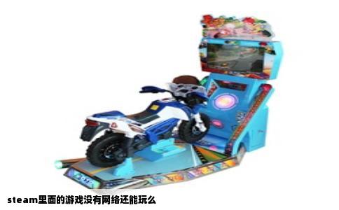 steam里面的游戏没有网络还能玩么