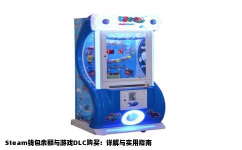 Steam钱包余额与游戏DLC购买：详解与实用指南