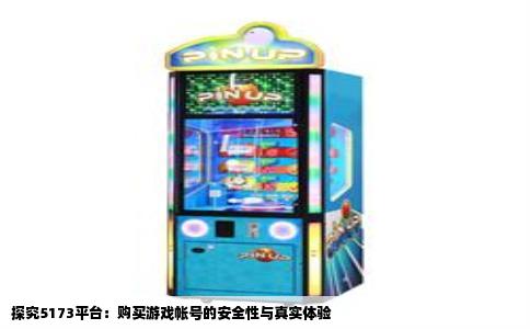 探究5173平台：购买游戏帐号的安全性与真实体验