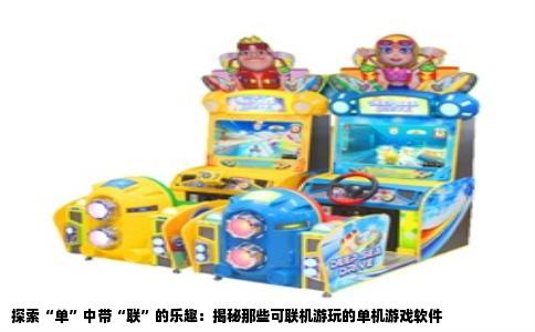 探索“单”中带“联”的乐趣：揭秘那些可联机游玩的单机游戏软件