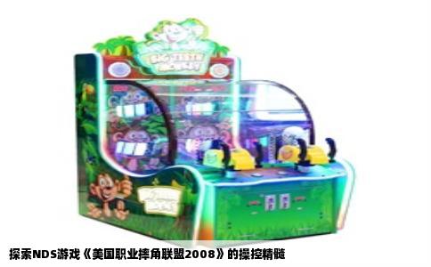 探索NDS游戏《美国职业摔角联盟2008》的操控精髓