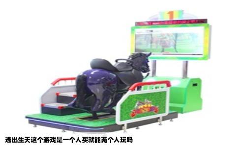 逃出生天这个游戏是一个人买就能两个人玩吗