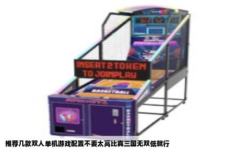 推荐几款双人单机游戏配置不要太高比真三国无双低就行