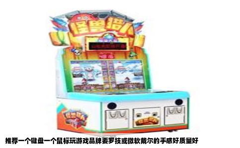 推荐一个键盘一个鼠标玩游戏品牌要罗技或微软戴尔的手感好质量好