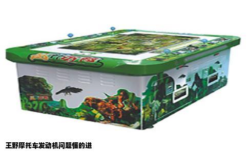 王野摩托车发动机问题懂的进