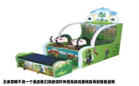 王者荣耀不是一个系统我们是微信好友但是游戏里她能看到我我却看