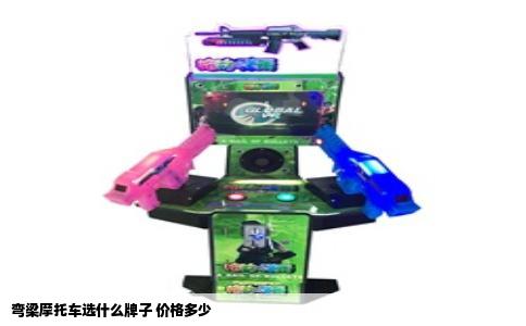 弯梁摩托车选什么牌子 价格多少