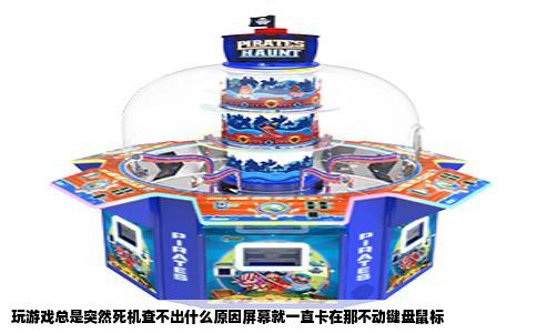 玩游戏总是突然死机查不出什么原因屏幕就一直卡在那不动键盘鼠标