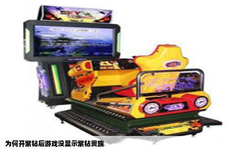 为何开紫钻后游戏没显示紫钻贵族