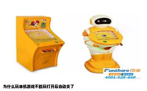 为什么玩单机游戏不能玩打开后自动关了