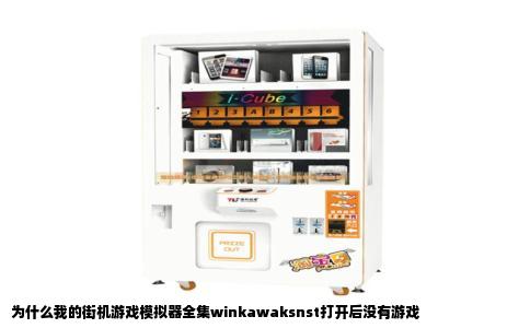 为什么我的街机游戏模拟器全集winkawaksnst打开后没有游戏