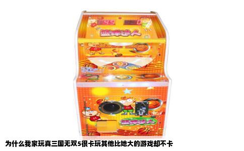 为什么我家玩真三国无双5很卡玩其他比她大的游戏却不卡