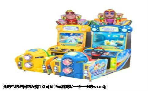 我的电脑进网站没有1点问题但玩游戏就一卡一卡的wsm啊