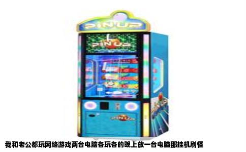 我和老公都玩网络游戏两台电脑各玩各的晚上放一台电脑那挂机刷怪