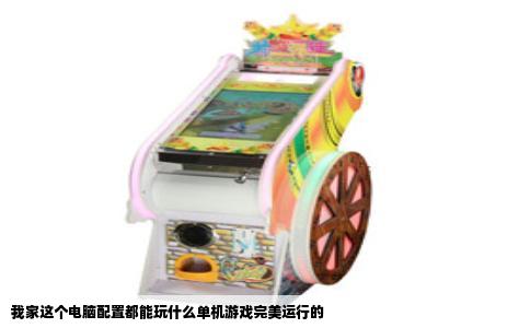 我家这个电脑配置都能玩什么单机游戏完美运行的