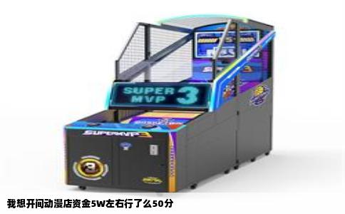我想开间动漫店资金5W左右行了么50分