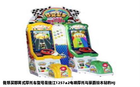 我想买部男式摩托车型号是钱江1257a2电喷摩托与豪爵铃木钻豹HJ