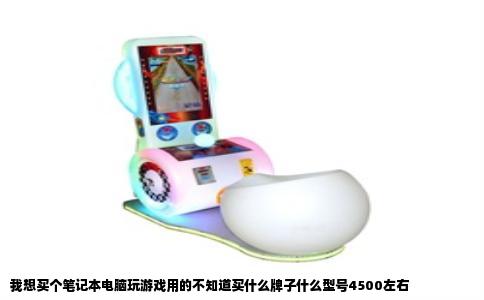 我想买个笔记本电脑玩游戏用的不知道买什么牌子什么型号4500左右