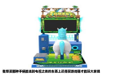 我想买那种手柄能连到电视之类的东西上还得买游戏碟才能玩大家提
