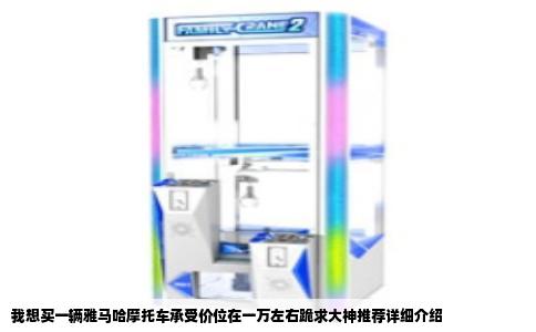 我想买一辆雅马哈摩托车承受价位在一万左右跪求大神推荐详细介绍