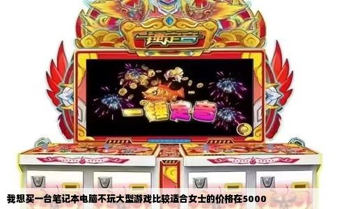 我想买一台笔记本电脑不玩大型游戏比较适合女士的价格在5000