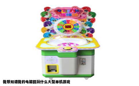 我想知道我的电脑能玩什么大型单机游戏