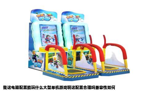 我这电脑配置能玩什么大型单机游戏啊这配置合理吗兼容性如何