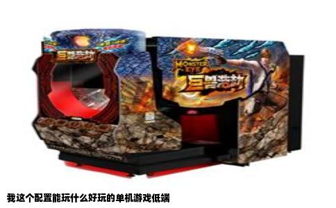 我这个配置能玩什么好玩的单机游戏低端