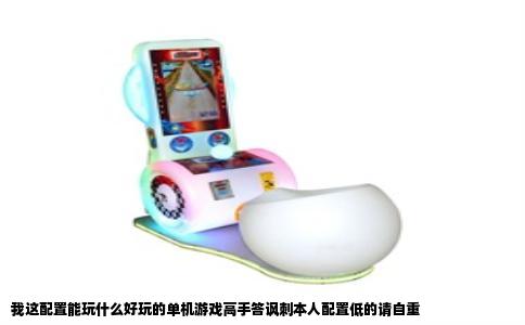 我这配置能玩什么好玩的单机游戏高手答讽刺本人配置低的请自重