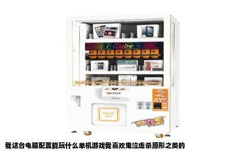 我这台电脑配置能玩什么单机游戏我喜欢鬼泣虐杀原形之类的