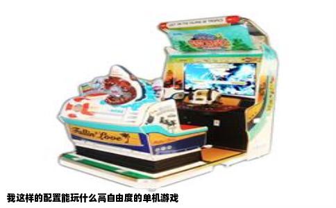 我这样的配置能玩什么高自由度的单机游戏
