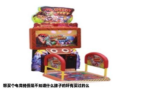 想买个电竞椅但是不知道什么牌子的好有买过的么