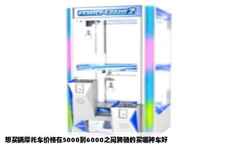想买辆摩托车价格在5000到6000之间跨骑的买哪种车好