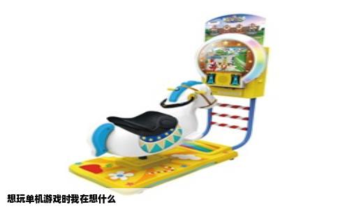 想玩单机游戏时我在想什么